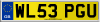WL53 PGU