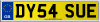 DY54 SUE