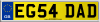 EG54 DAD