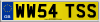 WW54 TSS