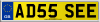 AD55 SEE