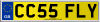 CC55 FLY