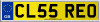 CL55 REO