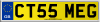 CT55 MEG