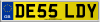 DE55 LDY