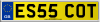 ES55 COT