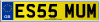 ES55 MUM