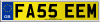 FA55 EEM