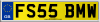 FS55 BMW