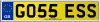 GO55 ESS