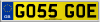 GO55 GOE