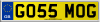 GO55 MOG