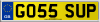 GO55 SUP