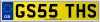 GS55 THS
