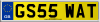 GS55 WAT