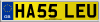 HA55 LEU