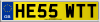 HE55 WTT