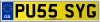 PU55 SYG