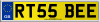 RT55 BEE