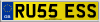RU55 ESS