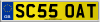 SC55 OAT