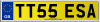 TT55 ESA