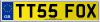 TT55 FOX