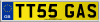TT55 GAS