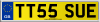 TT55 SUE