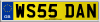 WS55 DAN