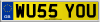 WU55 YOU
