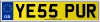 YE55 PUR