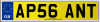 AP56 ANT