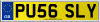 PU56 SLY
