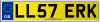 LL57 ERK