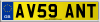 AV59 ANT