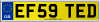 EF59 TED