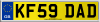 KF59 DAD