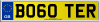 BO60 TER