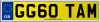 GG60 TAM