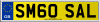 SM60 SAL