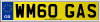 WM60 GAS
