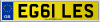 EG61 LES