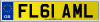 FL61 AML