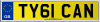 TY61 CAN