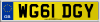 WG61 DGY