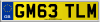 GM63 TLM