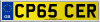 CP65 CER