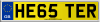 HE65 TER