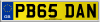 PB65 DAN